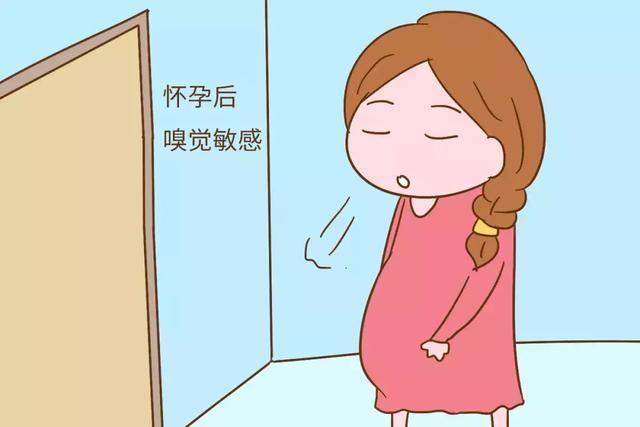 受孕后多长时间有反应