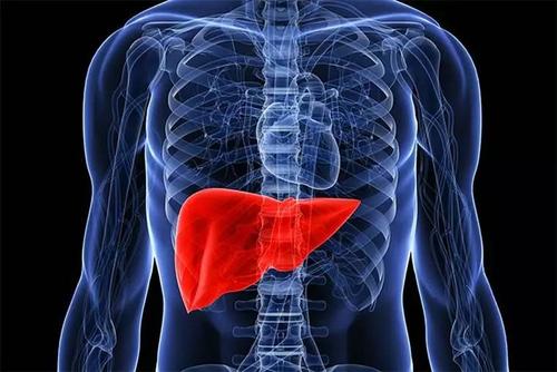 内分泌失调怎么办食疗方法内分泌失调就要这样吃！(内分泌失调吃什么水果）