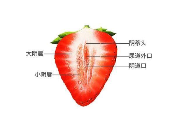 分泌物ph值多少正常(白带常规ph值对照表)