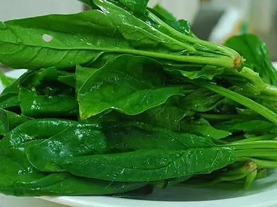 口腔溃疡吃什么蔬菜好的最快这些蔬菜对口腔溃疡最好(口腔溃疡吃菠菜好吗)