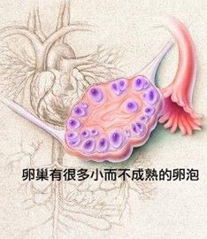 卵巢功能不好吃什么提高卵子质量心急也别乱吃(吃什么可以增加卵泡质量和改善卵巢）