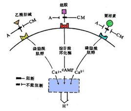 人工授精成功的表现这些现象告诉你(人工授精有成功的吗）