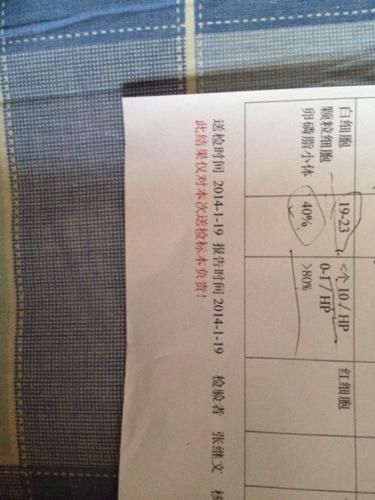 前列腺液白细胞一个加号什么意思教你看前列腺液检查单(前列腺白细胞两个加号严重吗）