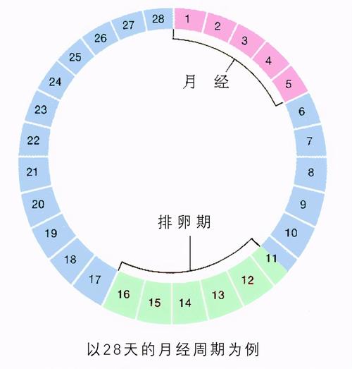分泌物像水一样有异味是怎么回事(白带多像水打湿裤子有腥臭味)
