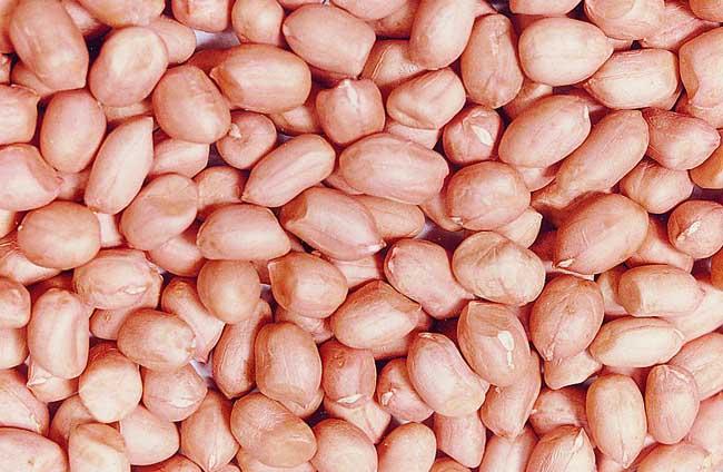 什么水果吃了补肾壮阳(哪些水果补肾）