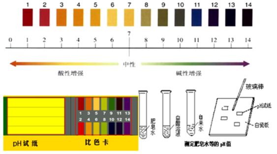 分泌物ph值多少正常(白带常规ph值对照表)