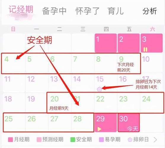前七后八是安全期还是危险期前七后八是什么意思(排卵期前七后八是指什么时间段）