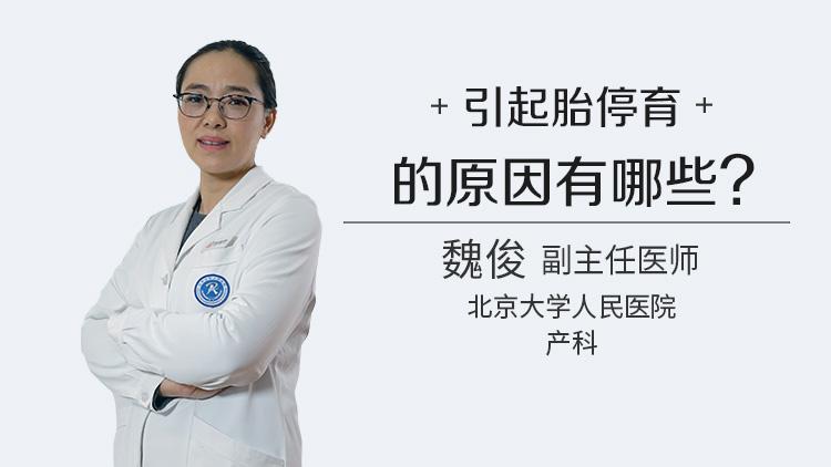 卵子质量不好会导致胎停吗(造成胎停育的六大原因）