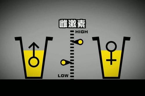 做试管婴儿有哪些专业术语试管婴儿专业术语名称解读(试管婴儿医学名称）