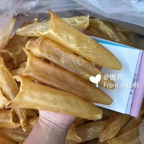 花胶可以助孕吗(花胶对卵泡质量有帮助吗）