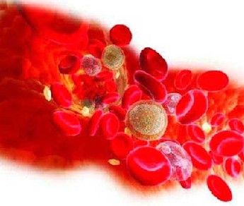 功能性闭经会怀孕吗(继发性闭经是什么原因引起的）