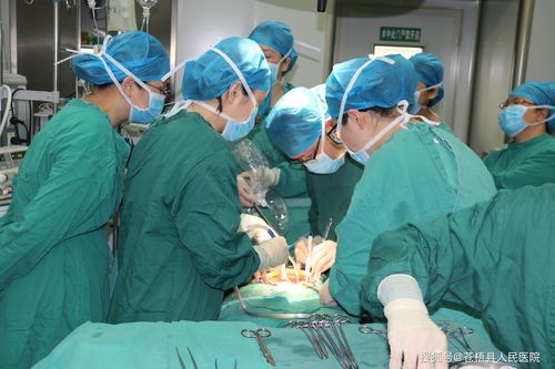 割包茎水肿多久能好(隐茎手术拆环后水肿多久能好）