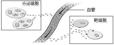 低促性腺激素综合症原因(促卵泡激素低是什么原因造成）
