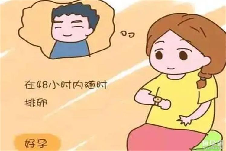 促排成功后还是没怀孕怎么回事(第二次促排成功率高吗)