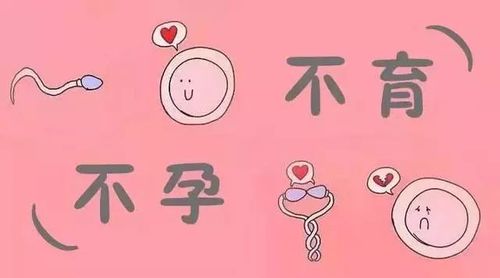 例假正常会不孕吗(按时来月经会不孕不育吗）