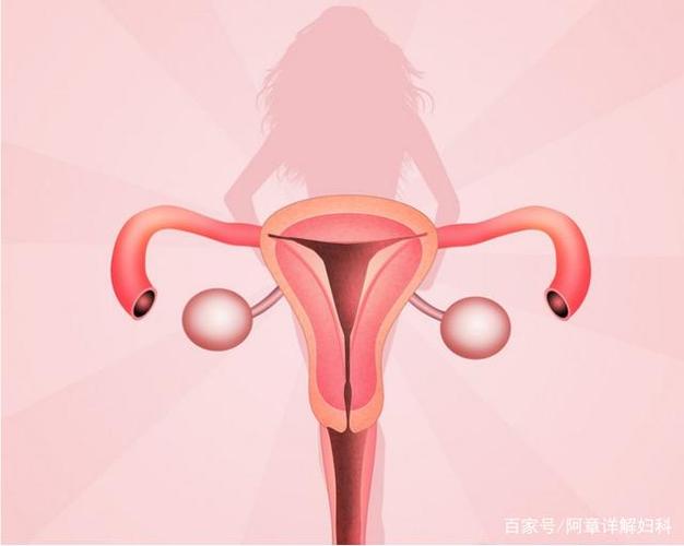 什么样的子宫内膜最利于怀孕？(子宫内膜一般多厚正常可以备孕）