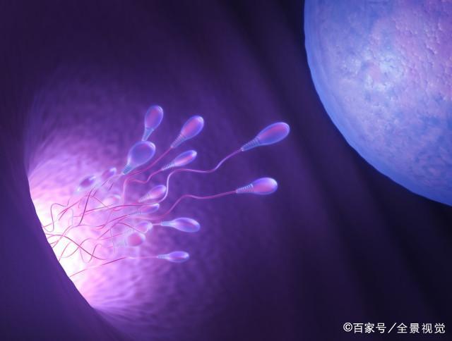 为什么儿媳结婚三年不孕，一离婚就怀上了？(儿媳进门婆婆一般都是给什么）