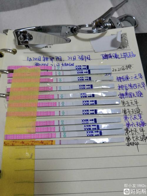 受孕第7天排卵试纸可以使用吗(排卵试纸比早早孕更快)