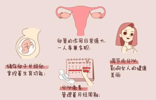 人工流产后多久能上班人流后能马上上班吗?(人流是怎么做的过程)