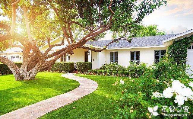 同房前抽烟影响怀孕吗(同房后一直抽烟会怀孕吗)