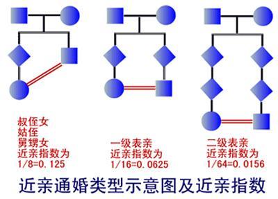 近亲结婚会影响几代人的智力近亲结婚会生出低能儿吗？(近亲结婚有正常孩子吗）