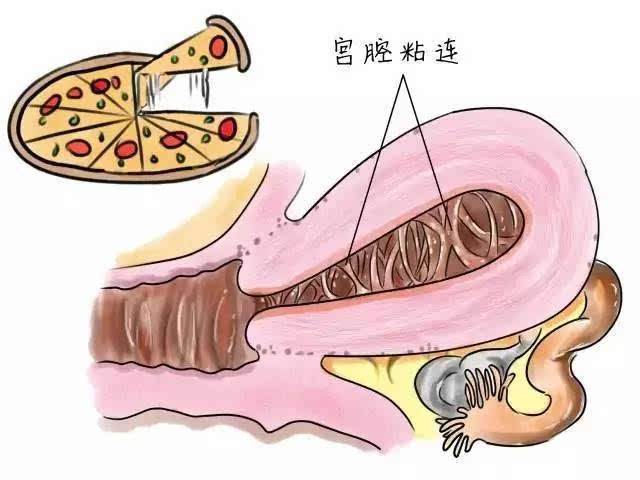 受孕前多久不能喝酒(喝酒几小时后可以同房）