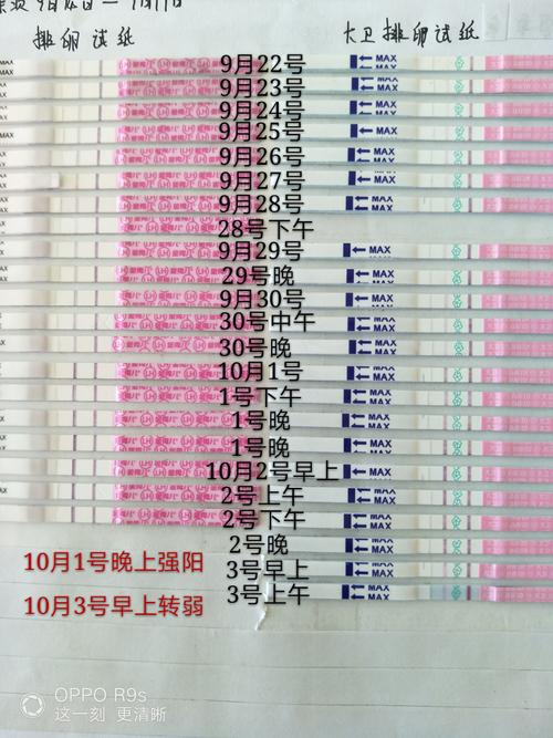 卵子应该是白天排还是晚上排(卵子在什么时候排出）