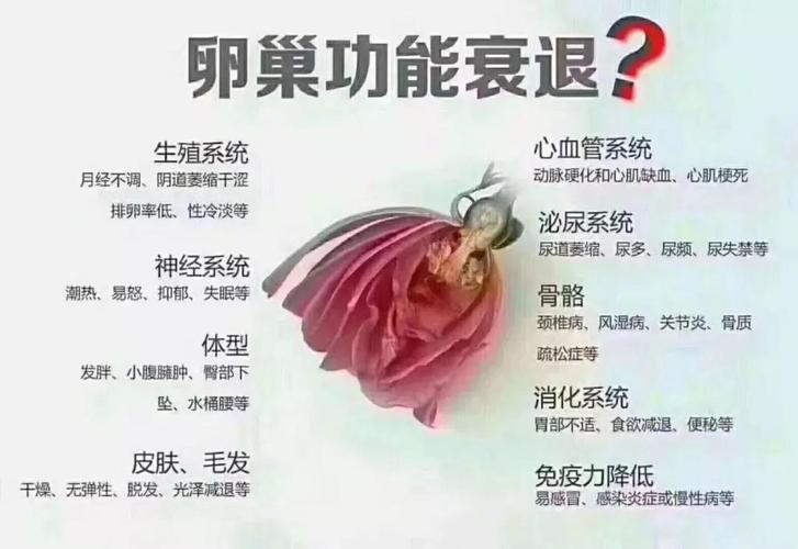 保养卵巢帮助日后怀孕(如何保护卵巢）