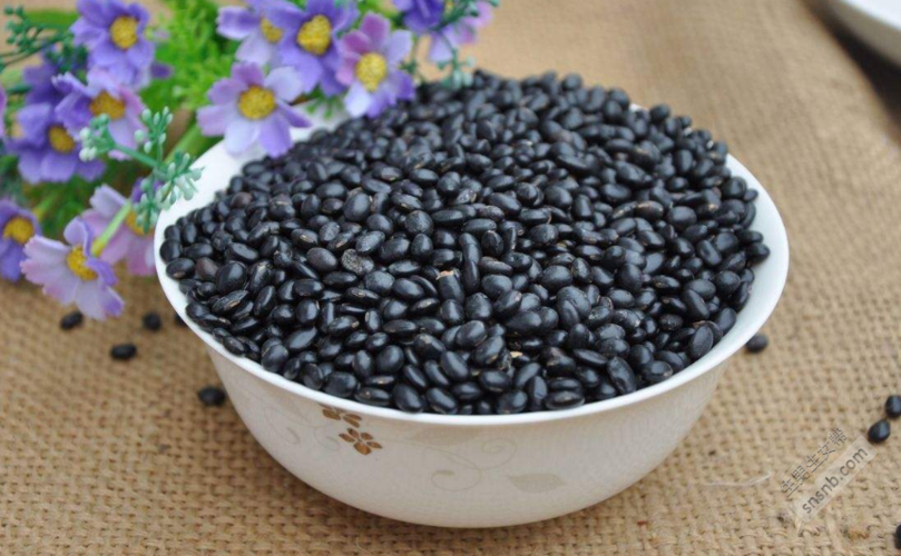 吃黑豆真的可以助孕吗(备孕多吃黑豆容易受孕）