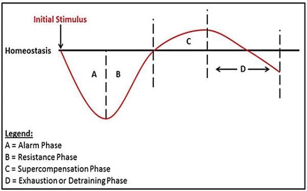 吃哪些能摄入健康脂肪的食物才能生出健康宝宝？(吃什么胎儿容易长肉）