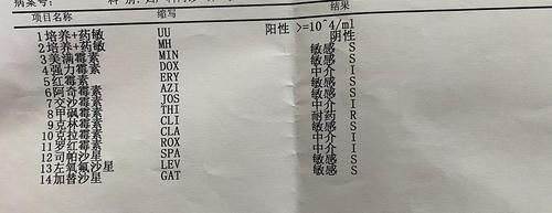 解脲支原体可以怀孕吗(解脲支原体要禁欲多久）