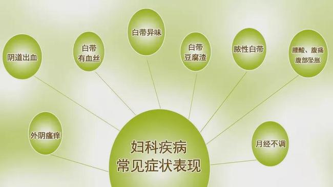 卵泡发育不良怎么调理(排卵泡发育不好怎么办）