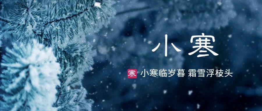 体寒的人可以喝柠檬水吗(体寒上火的人怎么调理)