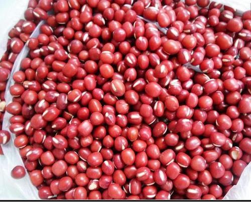 体寒的人可以喝红豆薏米粥吗(什么人不能喝红豆薏米水)