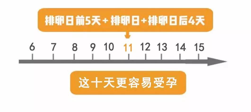 何时同房受孕率会提高？(同房后怎样做提高受孕）