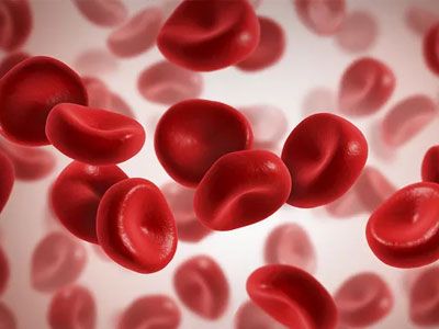 准备怀孕如何预防溶血(怀孕期间怎么检查溶血)