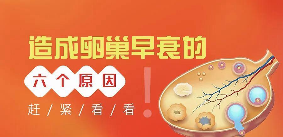 卵巢早衰可以吃鸡蛋吗(卵巢早衰需要忌口吗）