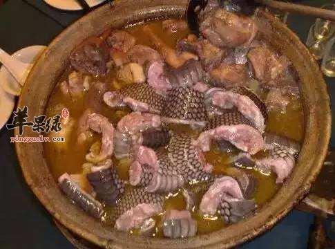 体寒的人可以吃蛇肉吗(夏天吃蛇肉有什么好处)