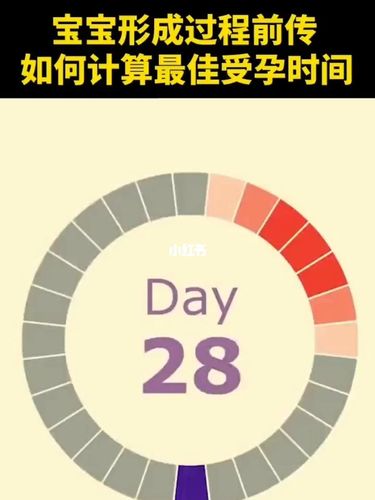 受孕的最佳时间是什么时候?(备孕期间几天同房一次)