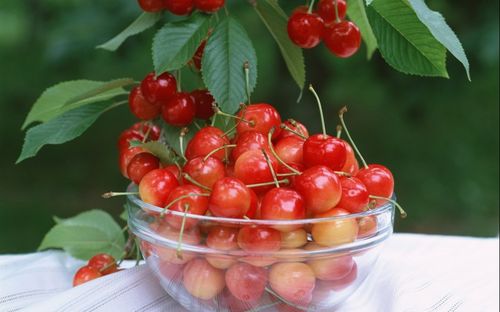 吃啥水果能助于怀孕(备孕期间女人吃什么水果比较好）