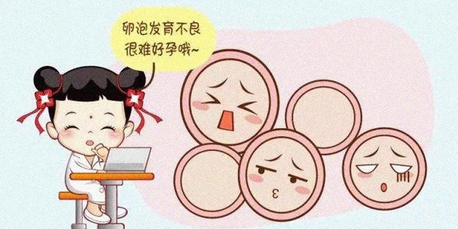 卵子质量不好的症状(女人排卵最佳时间几天）