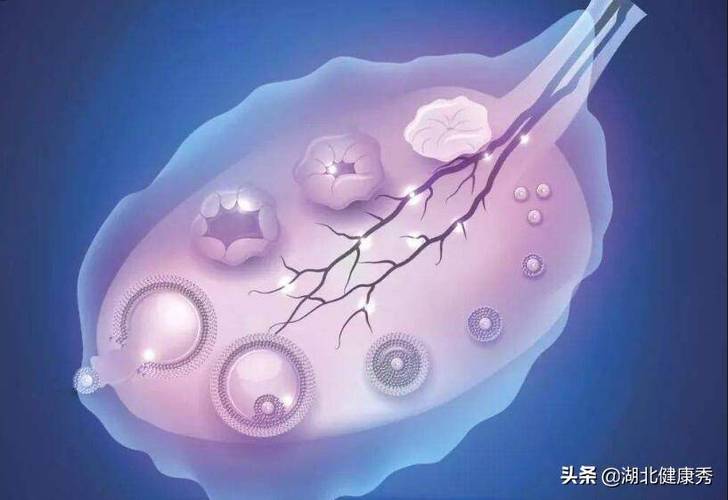 取卵后腹水的人多吗(取卵后人特别容易累）