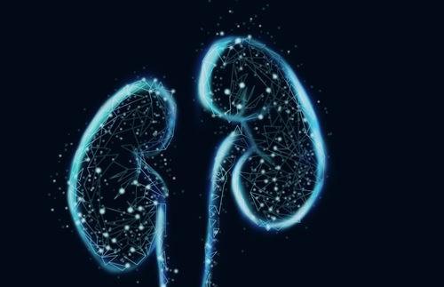 口腔溃疡可以喝枸杞菊花茶吗(口腔溃疡能喝枸杞吗)