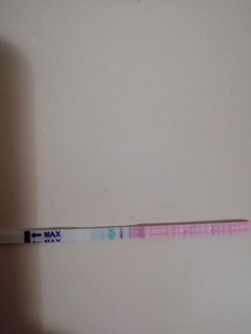 刚刚怀孕排卵试纸是阴性吗(刚怀孕的排卵试纸图片）