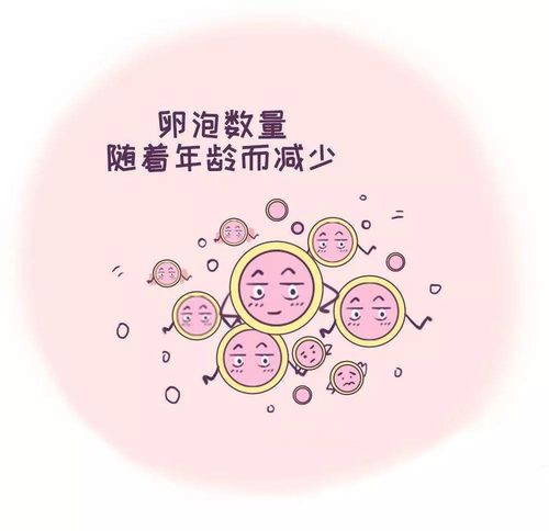 卵泡小怎么调理(女人卵泡小是什么原因）