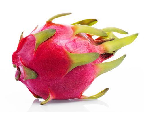 口腔溃疡吃火龙果好不好火龙果能促进溃疡愈合吗?(火龙果溃疡打什么药最好)