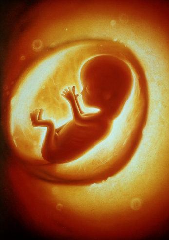 卵子质量不好会导致胎停吗(造成胎停育的六大原因）