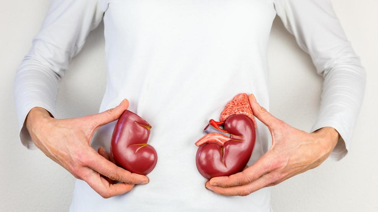 优生五项和优生十项(优生十项结果解读）