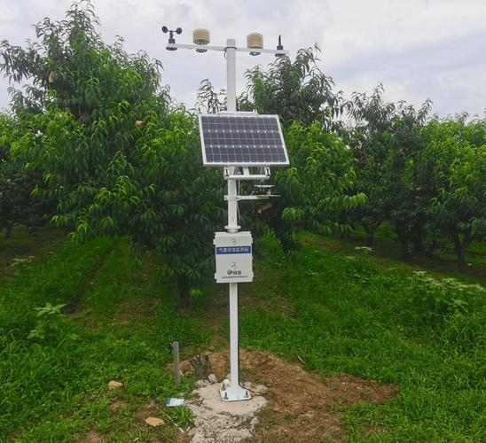 促排怀孕几率大吗(监测排卵5个月了怀不上）