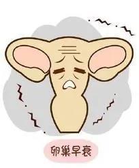 卵巢早衰可以吃大豆异黄酮吗(卵巢早衰需要注意些什么）